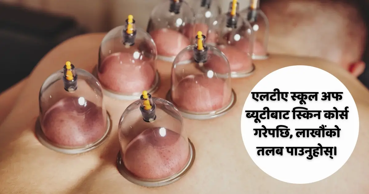 एलटीए स्कूल