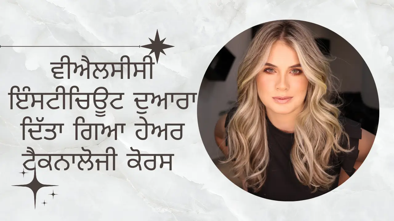 ਵੀਐਲਸੀਸੀ ਇੰਸਟੀਚਿਊਟ ਦੁਆਰਾ ਦਿੱਤਾ ਗਿਆ ਹੇਅਰ ਟੈਕਨਾਲੋਜੀ ਕੋਰਸ (Hair Technology Course Provided by VLCC Institute)