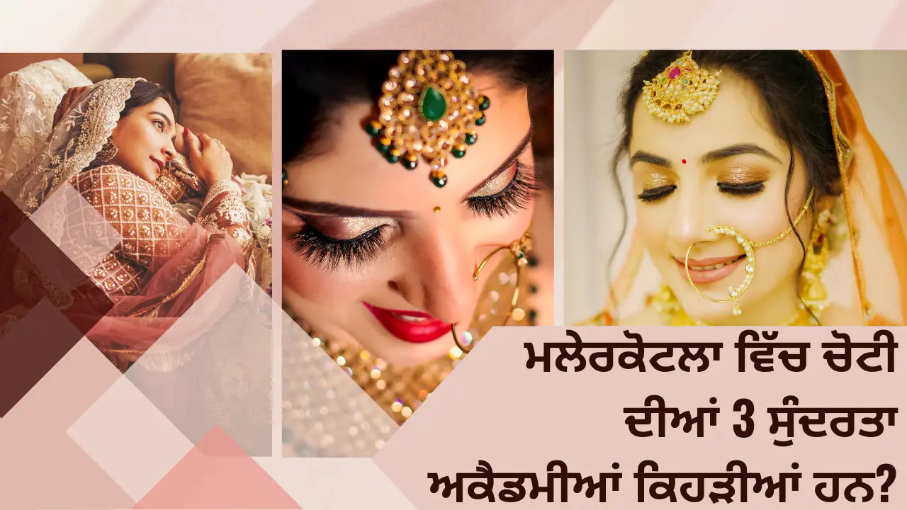 ਮਲੇਰਕੋਟਲਾ ਵਿੱਚ ਚੋਟੀ ਦੀਆਂ 3 ਸੁੰਦਰਤਾ ਅਕੈਡਮੀਆਂ ਕਿਹੜੀਆਂ ਹਨ?
